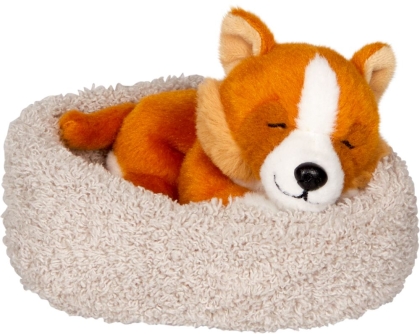 Schlafender Hund Liz im Korb