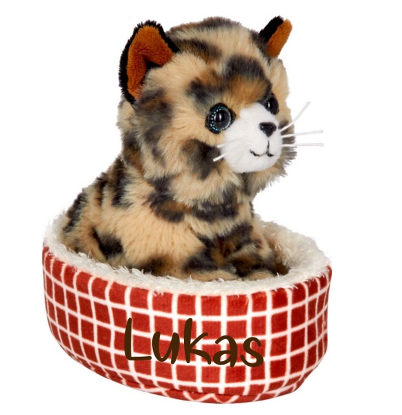 Spielgelburg Katze im Korb mit Beschriftung